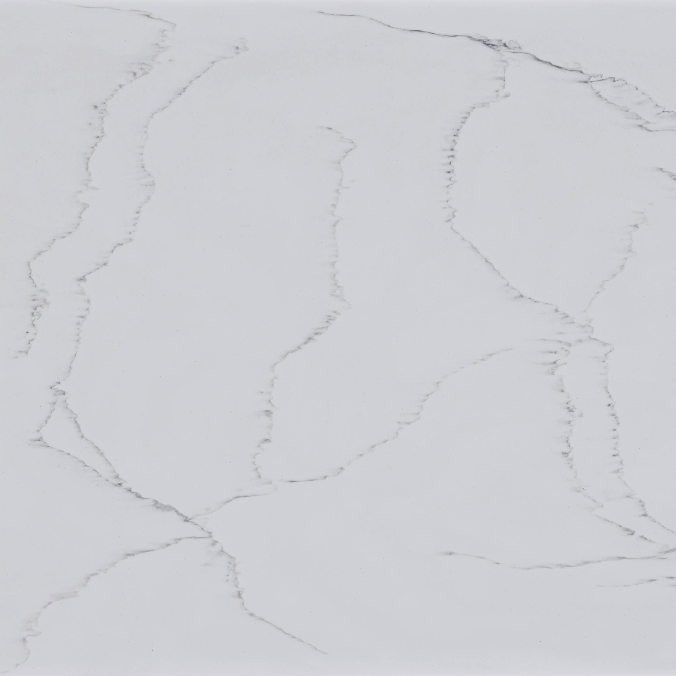 Premiere Legato Staron